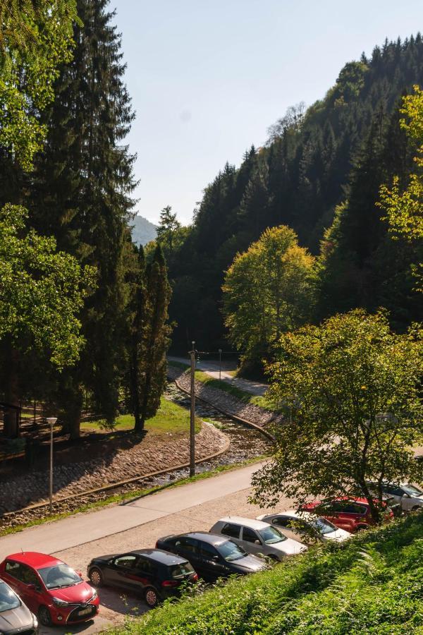 Appartement Anin Dvor Sekovici Extérieur photo